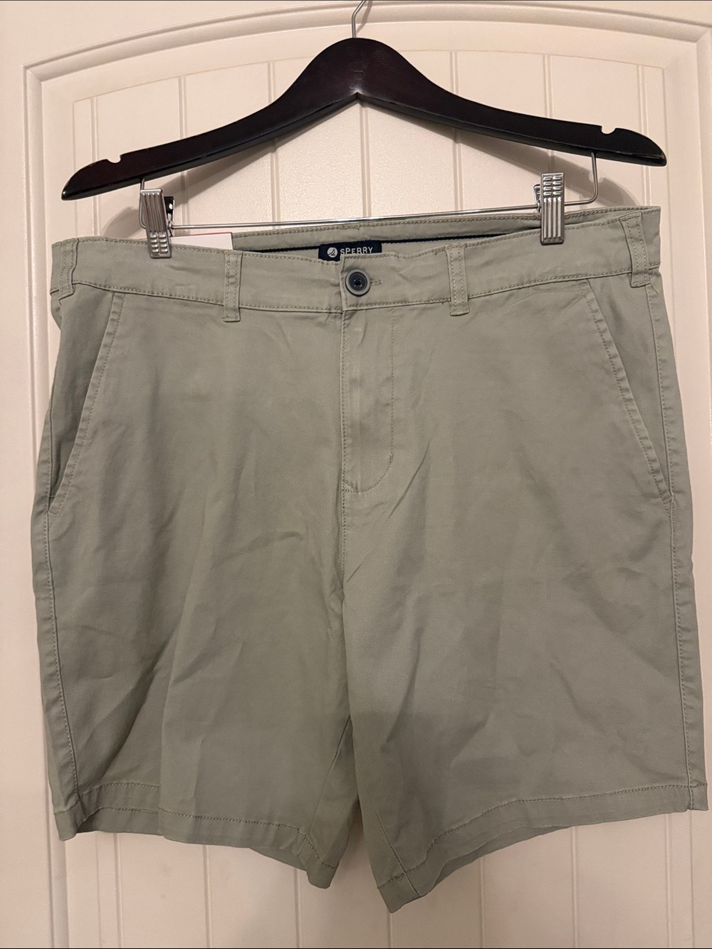 Sperry Men's Sage Green Flat Front Shorts